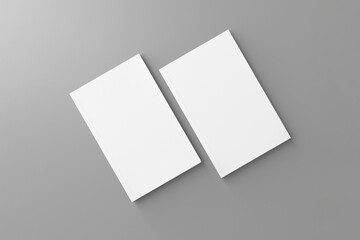 isolated on gray background. 2 white cover book mockup.