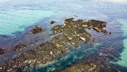 An oceanic reef. Sea rocks in the north Atlantic.