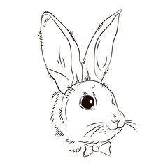 
Animals. Linear image of a rabbit. Black and white image on a white background. Coloring book for kids.