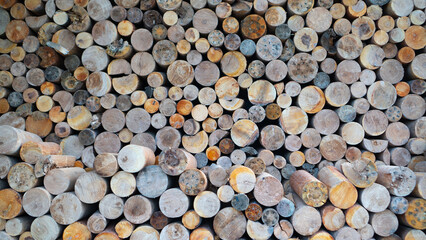 Firewood in the woodshed. Wall of stacked wood logs as background. Round firewood for the fireplace