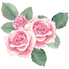 A bouquet of pink roses. Romance. An element for scrapbooking. Watercolor drawing.