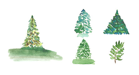 Fototapeta premium Green watercolor texture tree. Summer flora branch. Beautiful plant illustration. Sketch hand drawing art. Fir woods aquarelle card. Design pine elements. Isolated white background