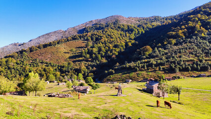 Branagallones, Redes Natural Park and Biosphere reserve, Asturias, Spain