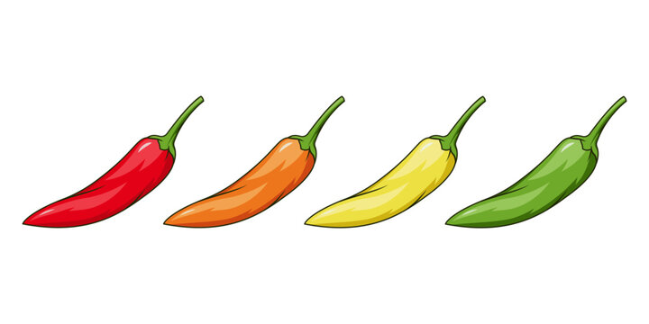 Chilli pepper vector set isolated on white background. Red, Orange,yellow and green.
