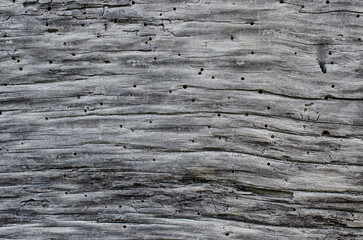 wooden background pattern for crafts or abstract art texture