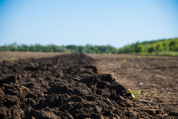 Agriculture with a tractor