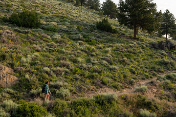 Woman Hikes Along Hillside In Rocky Mountain