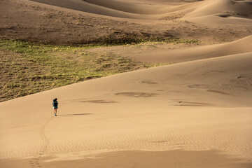 Fototapeta na wymiar Woman Walks Across the Vast Sand Dunes in Great Sand Dunes