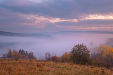 Fototapeta na wymiar Beautiful autumn scenery of foggy valley at Carpathian mountains at early morning before sunrise. Grass hill with yellow trees in the foreground.