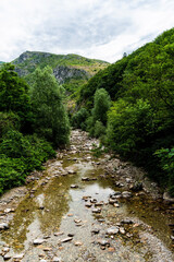 Fototapeta na wymiar Sohodol Gorges (Cheile Sohodolului) and the Sohodol river in the Valcan mountains, Gorj county, Romania.