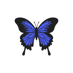 Blue Emperor butterfly illustration. Realistic butterfly with textured wings. Beautiful butterfly for scrapbooking