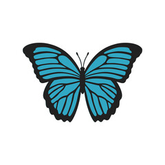 Blue Morpho butterfly illustration. Realistic butterfly with textured wings. Beautiful butterfly for scrapbooking