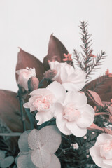 Soft focus smoke Flower bouquet vertical background. Carnations and Anemones with leaf.Pastel beige tone.