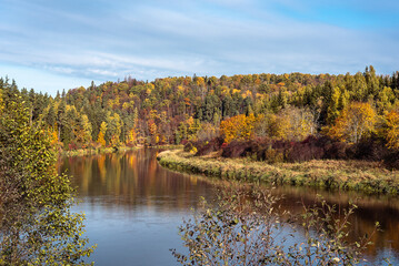 Fototapeta na wymiar Landscape view of Gauja river valley in Sigulda, Latvia on sunny autumn day .