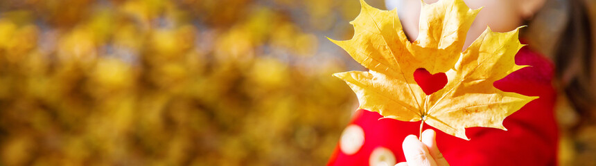 child in a red coat with autumn leaves. Love autumn. Selective focus.