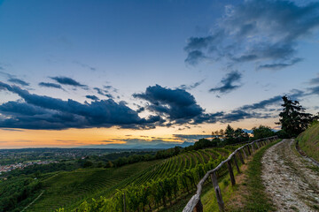 Colorful sunset in the vineyards of Savorgnano del Torre