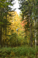 Fototapeta premium La Plaine 9 Octobre 2022