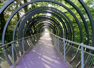 Slinky springs to fame bridge, also Rehberger Bridge