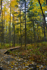 La Plaine 9 Octobre 2022