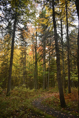 La Plaine 9 Octobre 2022