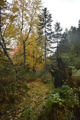 La Plaine 9 Octobre 2022