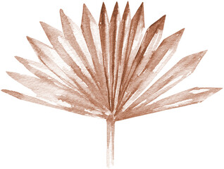 Watercolor dried palm illustration. Boho realistic leaves,leaf,stem drawing,dried flowers. Tropical,exotic floral element for frame,wreath, border,bouquet, bohemian wedding card,invite, stationery,diy