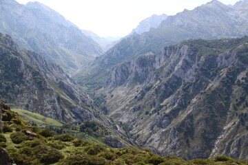 Picos de Europa 