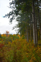 La Plaine 9 Octobre 2022