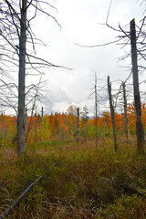 Fototapeta premium La Plaine 9 Octobre 2022