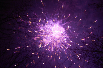 Huge fireworks explosions with all colors over a party in the park. In front of the black night sky