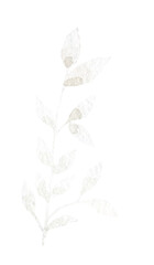 Watercolor pampas grass illustration. Boho realistic leaves,leaf,stem drawing,dried flowers. Tropical,exotic floral element for frame,wreath, border,bouquet, bohemian wedding card,invite, stationery