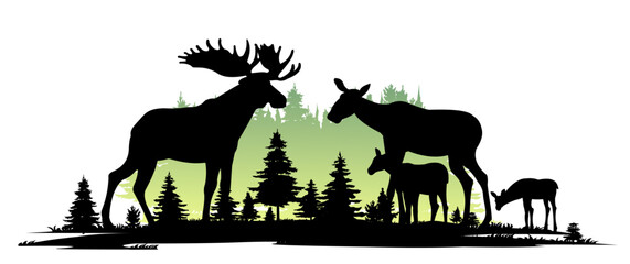 Elk male with large horns and with Moose female with cub Elk. Glade in coniferous forest. Silhouette picture. Animals in wild. Isolated on white background. Bright morning. Vector.