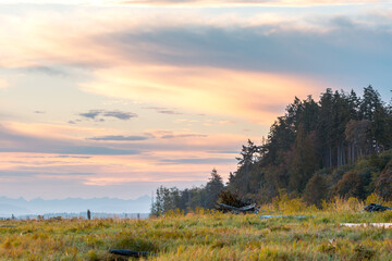 Early Morning Colors