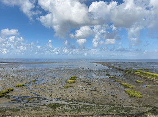 Lahnungs for land reclamation and coastal protection on the island of Sylt