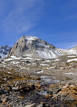Alpine scene with a small stream