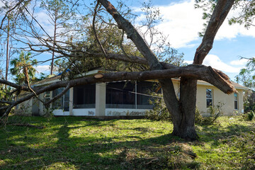 Fototapeta na wymiar Fallen down big tree on a house after hurricane Ian in Florida. Consequences of natural disaster