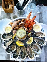 oysters on a plate