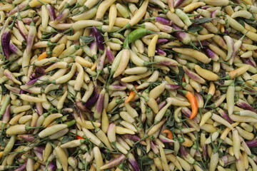 close up of dried green beans