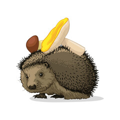 Hedgehog with mushrooms isolated on white background. Vector illustration of a hedgehog.