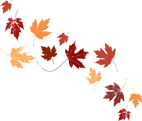Autumn maple leaves, orange fall leaf, thanksgiving or halloween design elements in orange red and yellow autumn colors, seasonal clip art or png design elements for border or background illustrations - 536820235