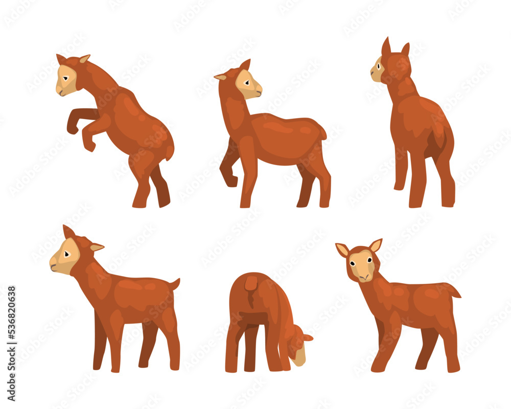 Poster cute brown lamb as farm animal in different poses vector set