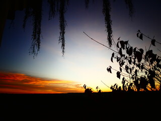 Spätherbst Abendhimmel in der Natur
