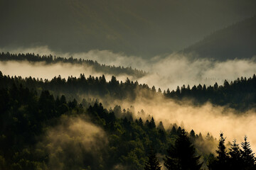 Fog rises from a spruce forest at sunrise. Beautiful autumn season.
