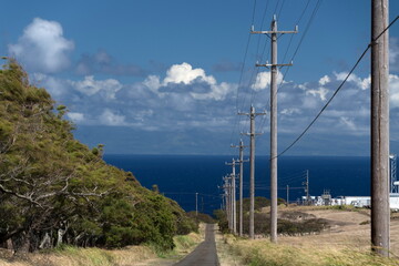 Obraz premium Road to windmill farm near Upolu Point - 3