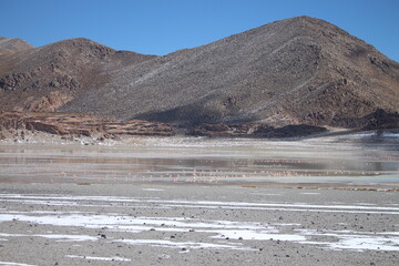 Desert landscape of northwestern Argentina