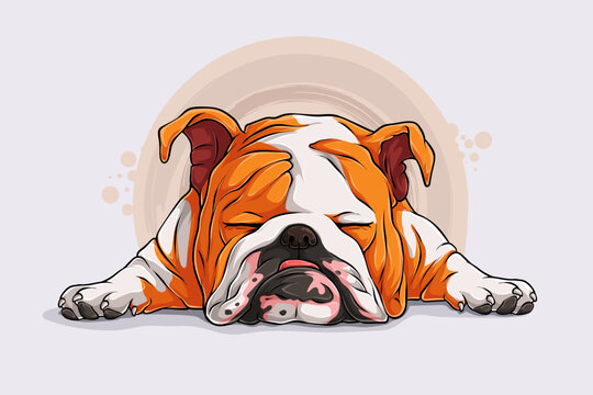 Hand drawn Lazy dog breed English Bulldog Sleeping on the floor isolated on white background