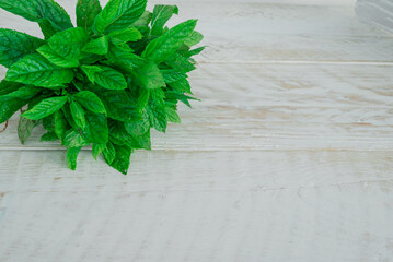 Mint. Bunch of fresh green organic mint leaf on wooden table closeup