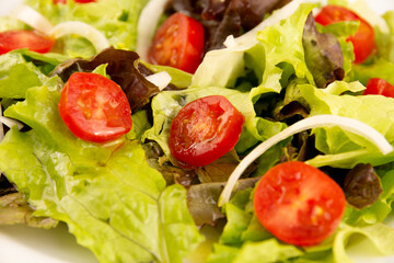 Healthy salad with chicken on a plate, lettuce, and organic vegetables