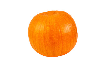 pumpkin isolated on white