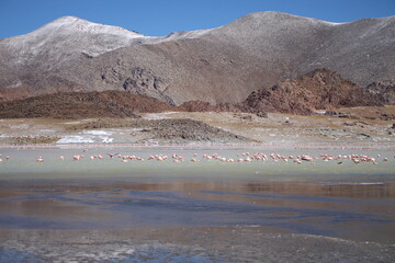 Desert landscape of northwestern Argentina